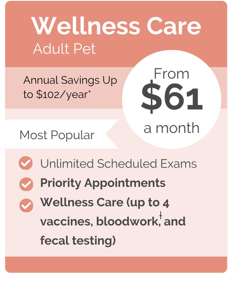 North Dekalb VIPet Plan_pricing_Wellness_Modern